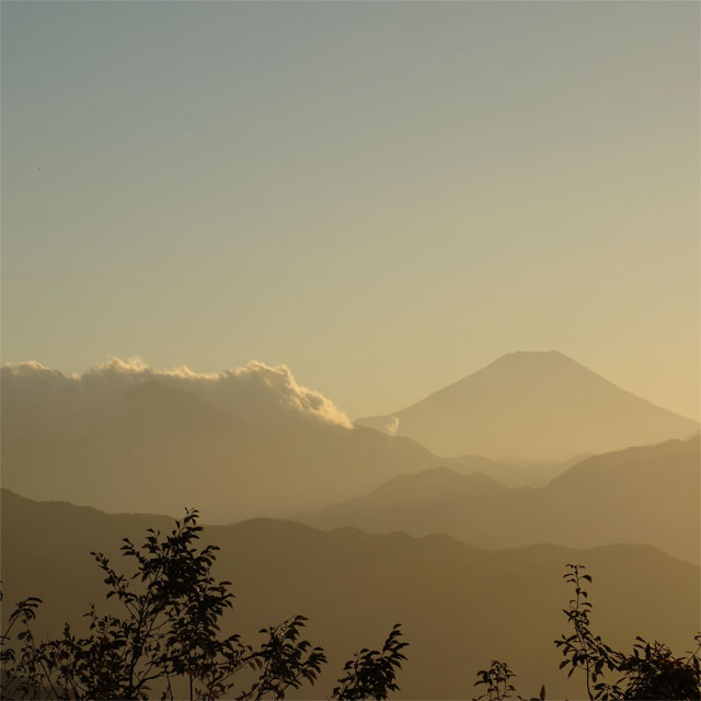 高尾山頂から眺める富士山　ゆきよみ